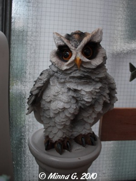 Parvekekoriste Pöllö