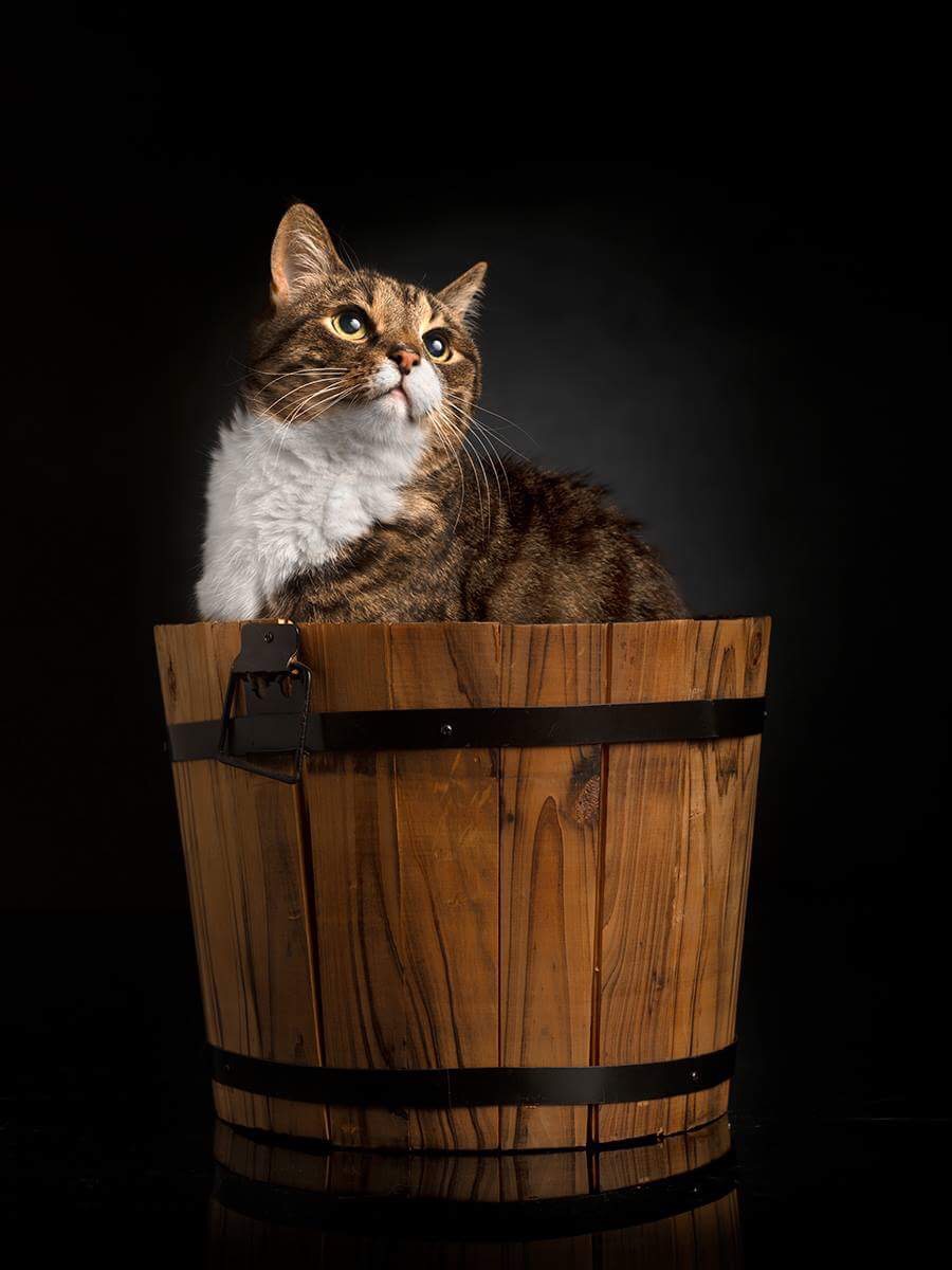 © Toni Miettinen 2018