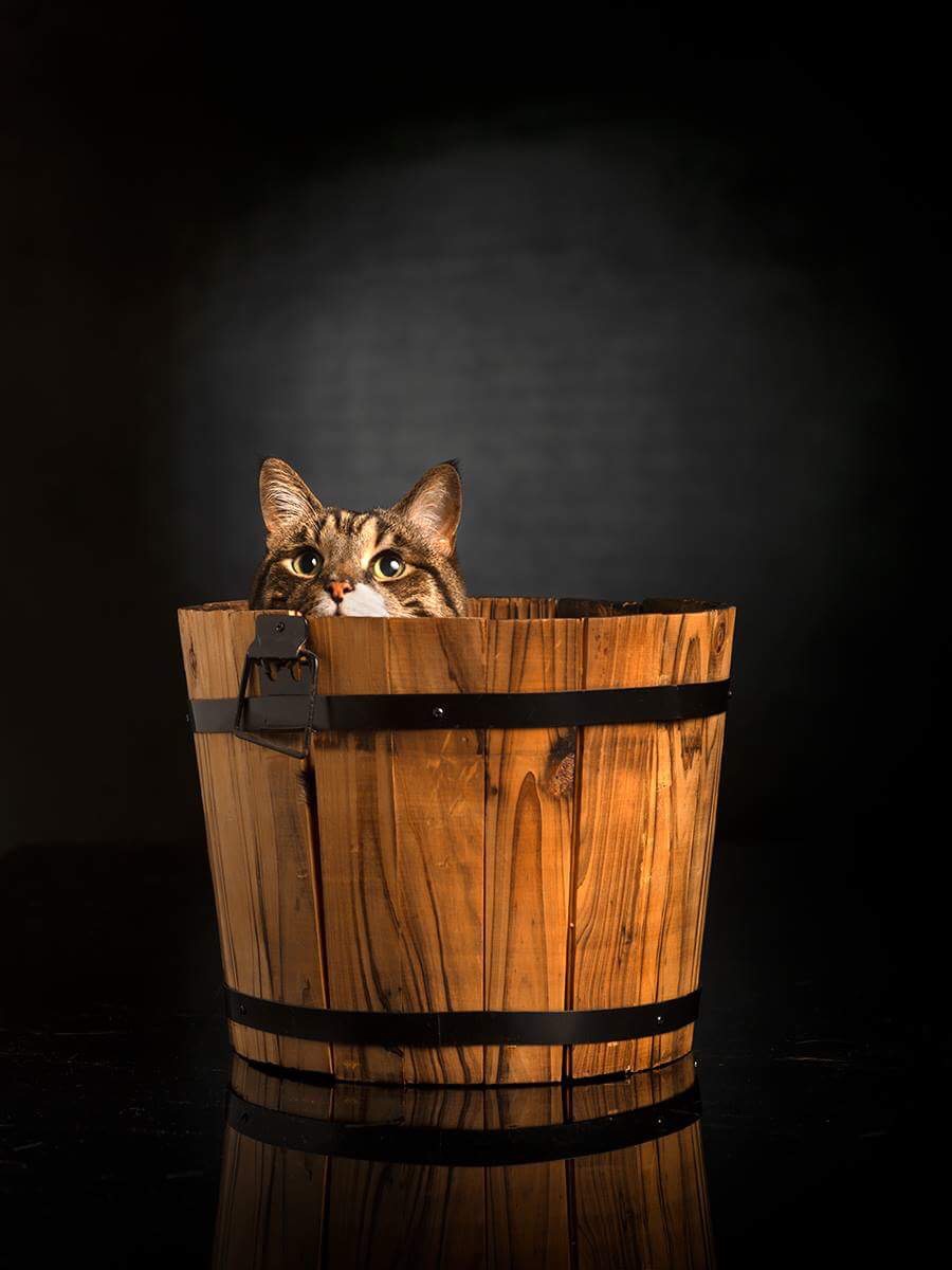 © Toni Miettinen 2018