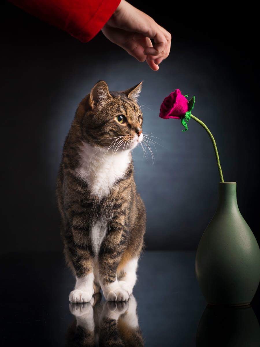 © Toni Miettinen 2018