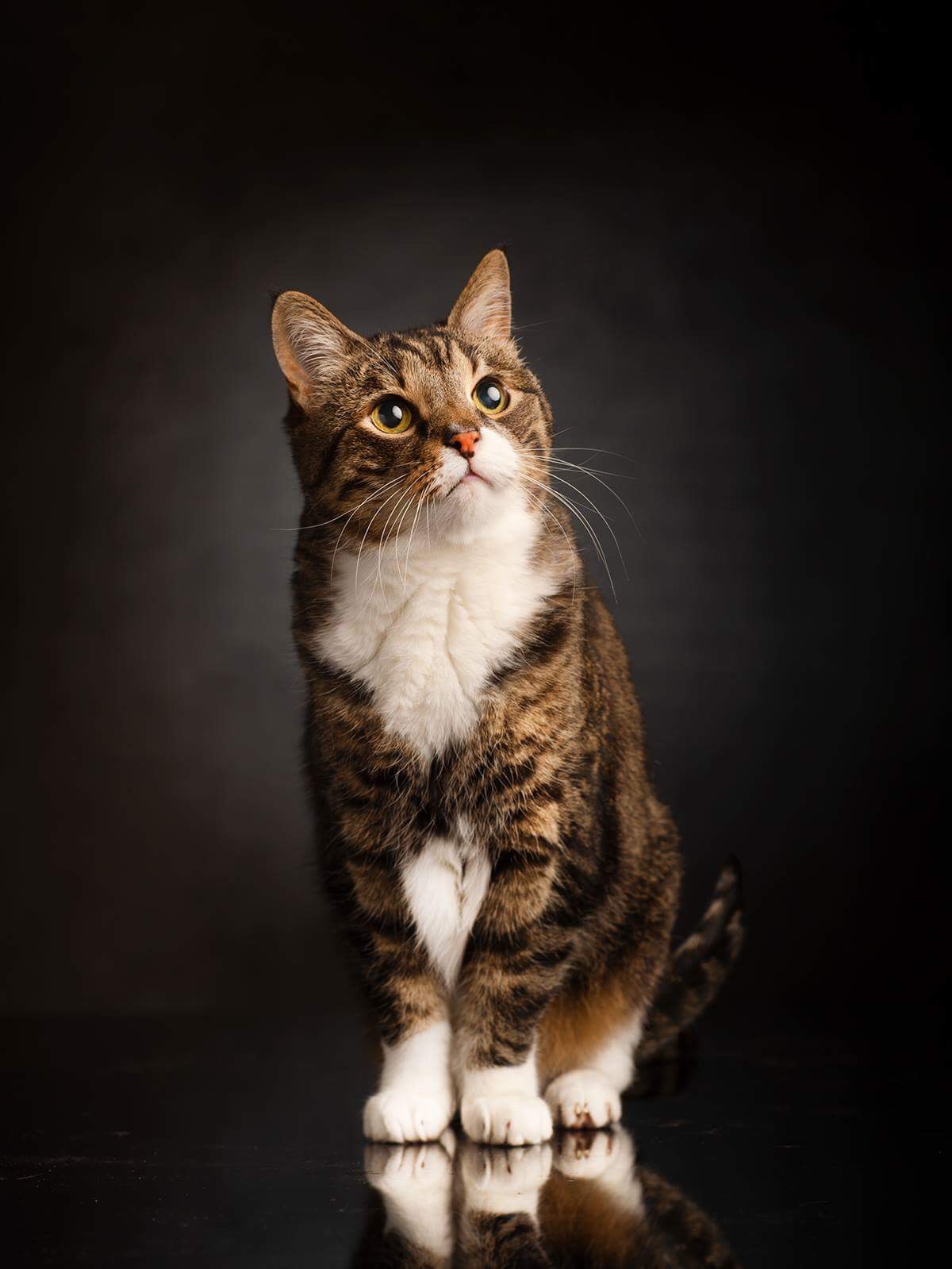 © Toni Miettinen 2018