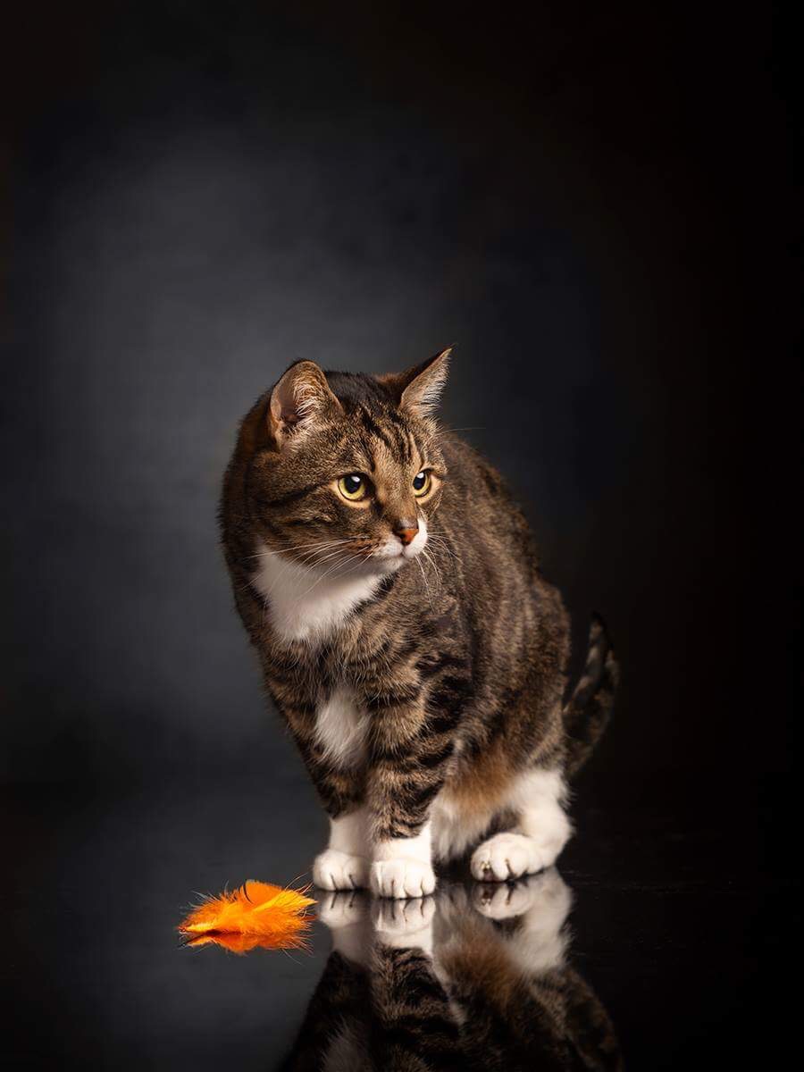 © Toni Miettinen 2018