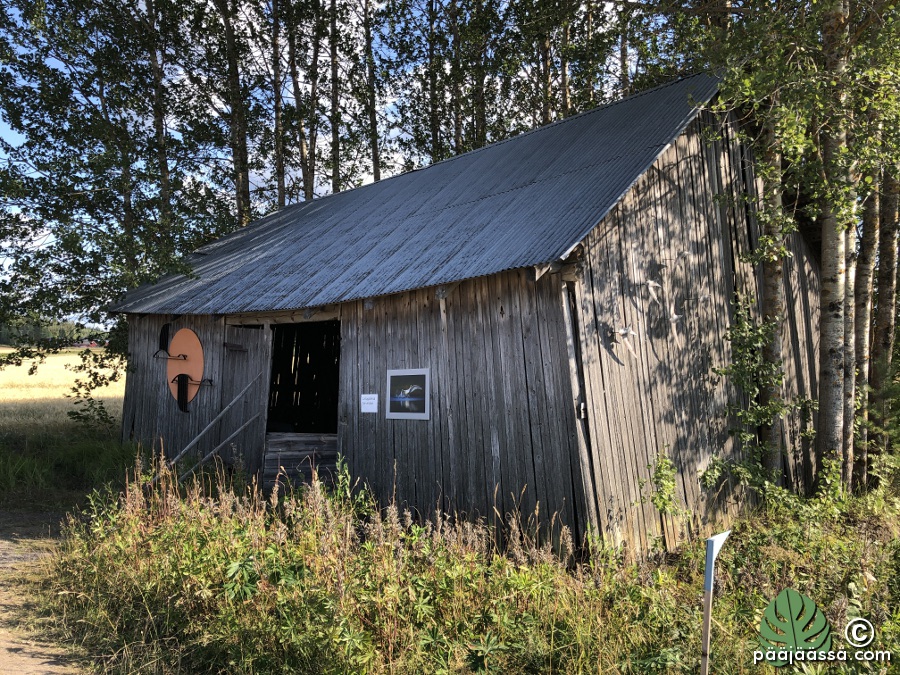Latogalleria täynnä taidetta
