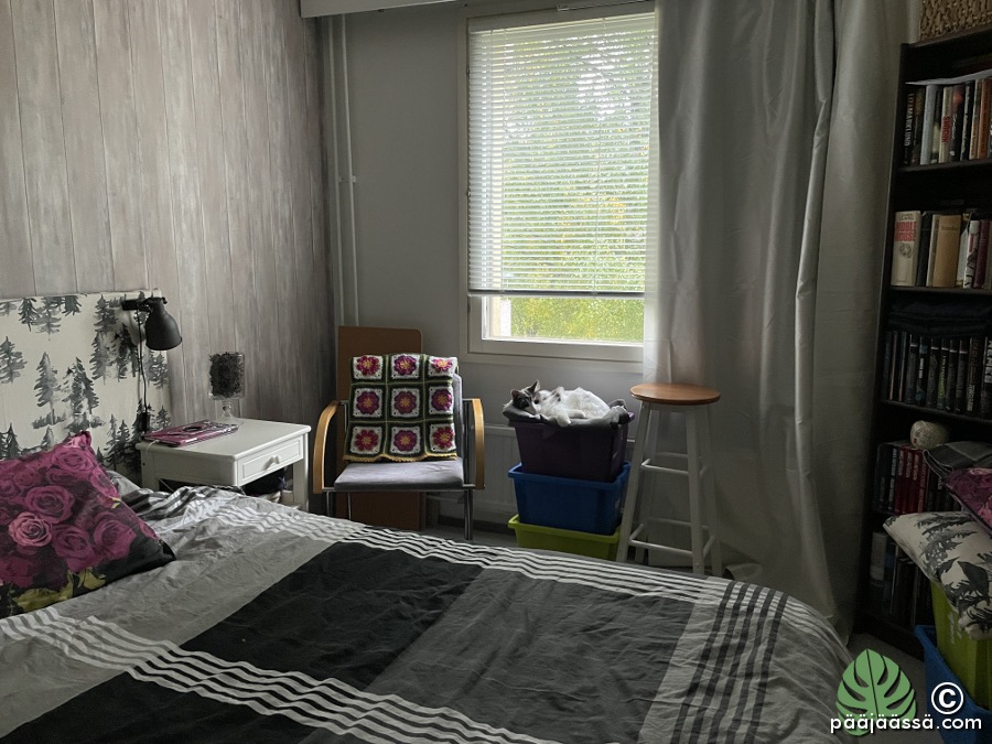 Kissan nukkumapaikka ikkunalla