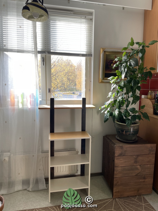 Koulupöydän jalkonen uusi elämä