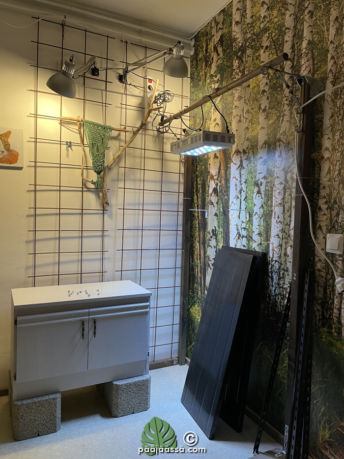 marraskuun sisustusprojekti olohuoneessa