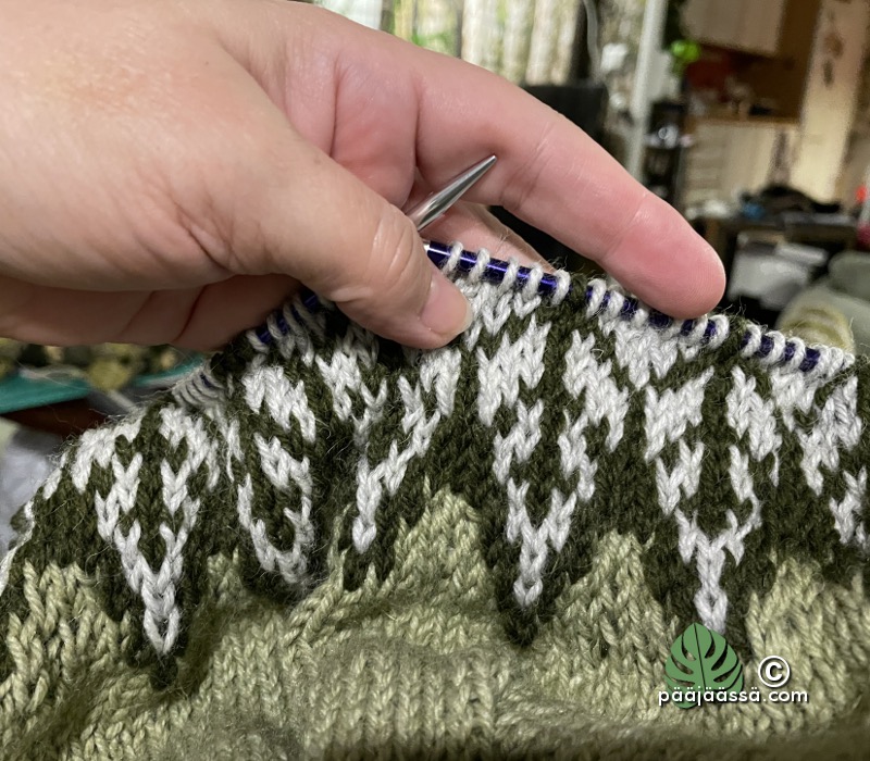 islantilaisneuleen kaarroke villapaitaan