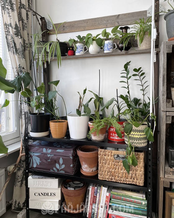 Huonekasvi hyllykkö