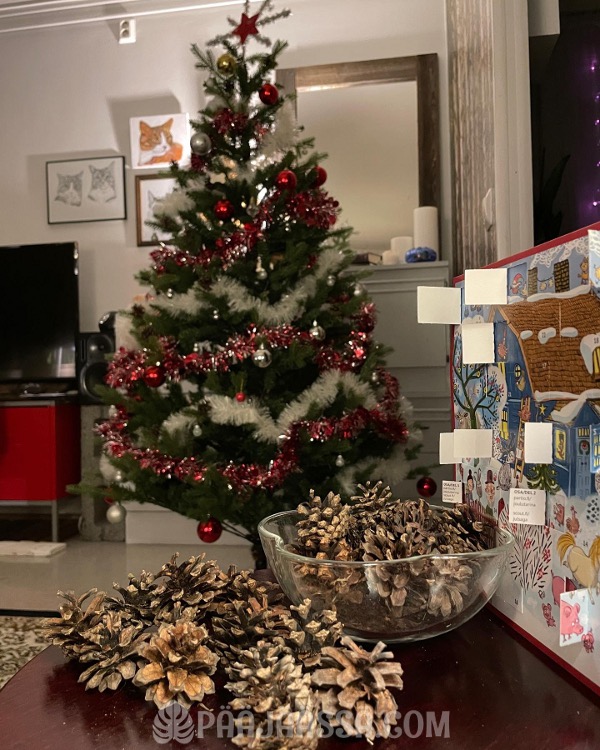 Joulukuusen koristelua kävyillä