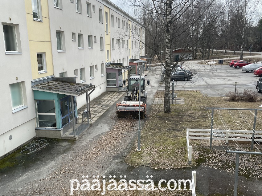 hiekoitushiekat putsataan joka kevät