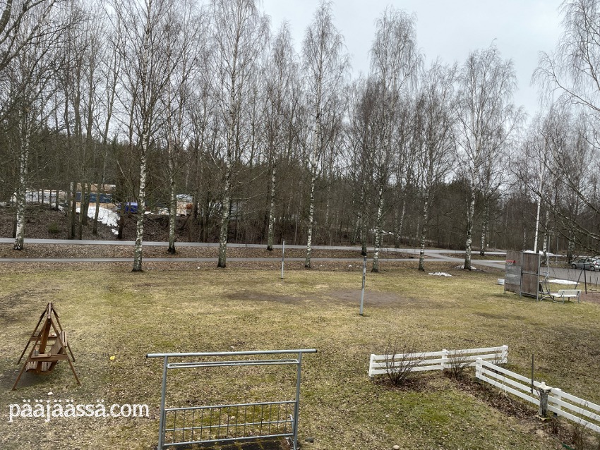 kevät tuli ja lumi suli pihalta