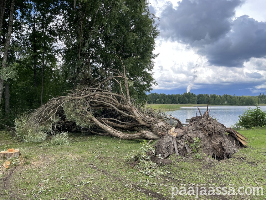 Trombi kaatoi terijoensalavan 10.8.2024