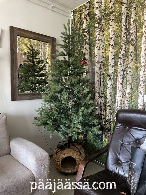 Joulukuusi nurkassa koko vuoden