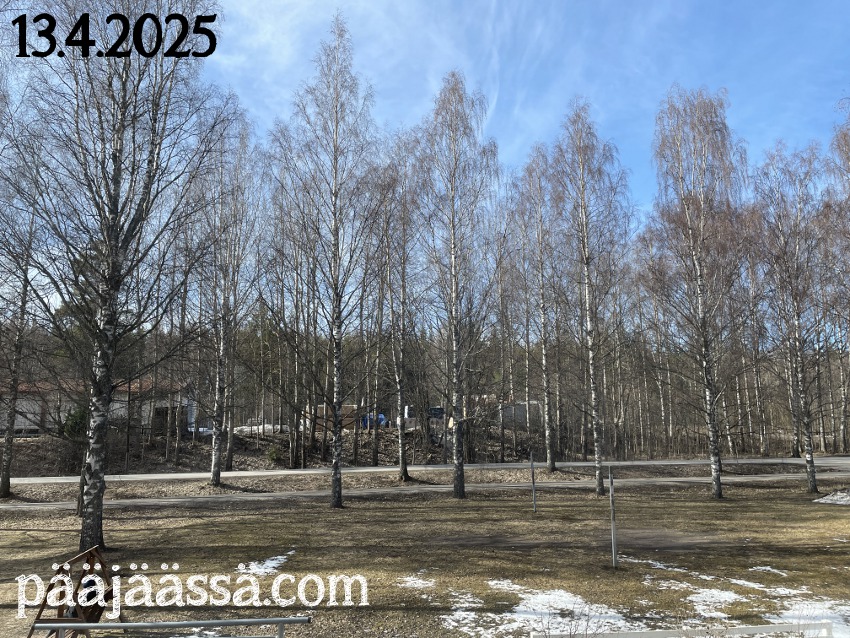 Kevät saapui sittenkin