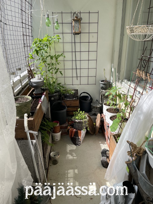 Hyötykasvit eteläosassa parveketta