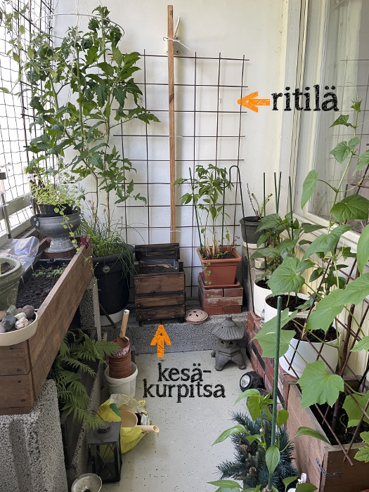 kerrostaloasunnon avoparveke