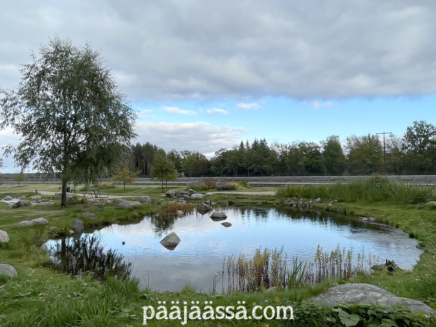 Ei ole ruskaa vielä lokakuun ensimmäisinä päivinä