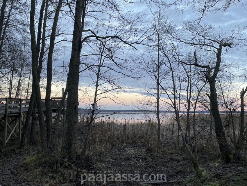 Kaunis luonto Lietteen lintutornin ympärillä