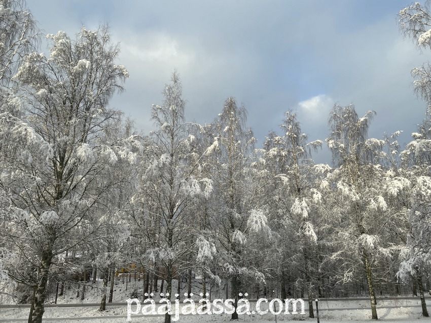 Talvinen maisema ikkunasta katsottuna