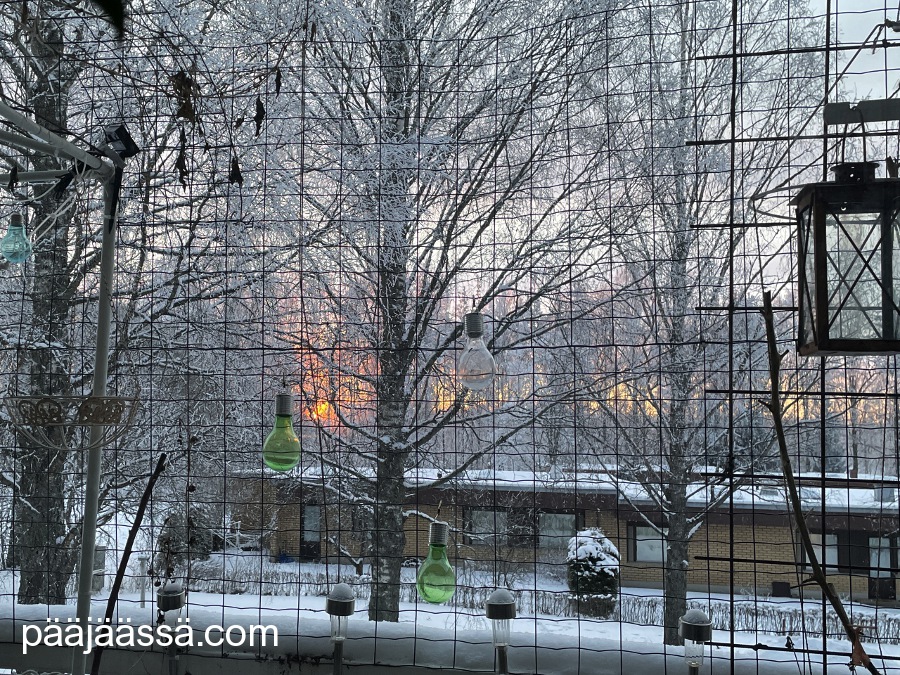 Kylmä pakkasaamu 7.2.2026